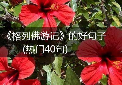 《格列佛游记》的好句子(热门40句)