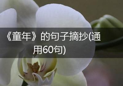 《童年》的句子摘抄(通用60句)