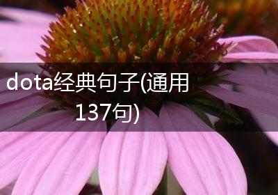 dota经典句子(通用137句)