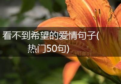 看不到希望的爱情句子(热门50句)
