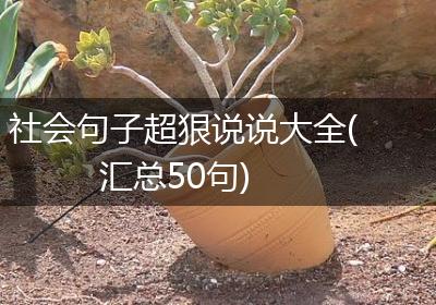 社会句子超狠说说大全(汇总50句)