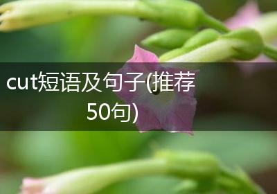 cut短语及句子(推荐50句)