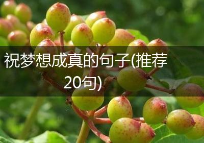 祝梦想成真的句子(推荐20句)