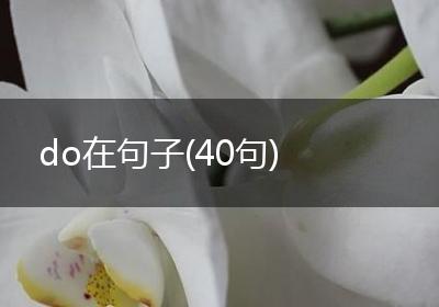 do在句子(40句)