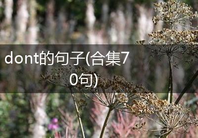 dont的句子(合集70句)