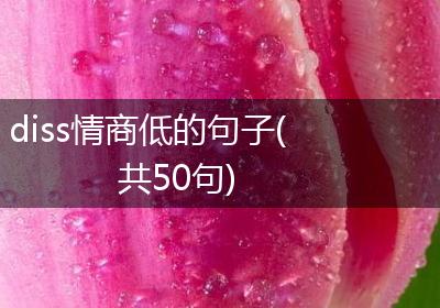 diss情商低的句子(共50句)