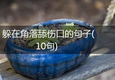 躲在角落舔伤口的句子(10句)