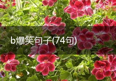 b爆笑句子(74句)