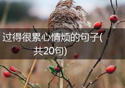 过得很累心情烦的句子(共20句)