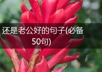 还是老公好的句子(必备50句)