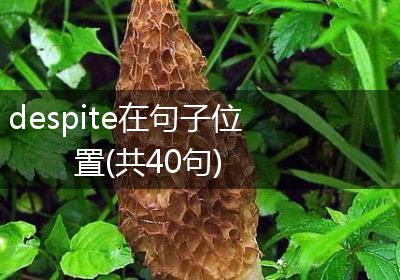despite在句子位置(共40句)