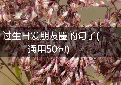 过生日发朋友圈的句子(通用50句)