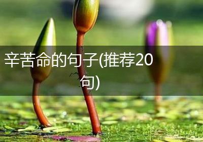辛苦命的句子(推荐20句)
