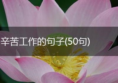 辛苦工作的句子(50句)