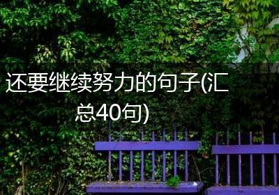 还要继续努力的句子(汇总40句)