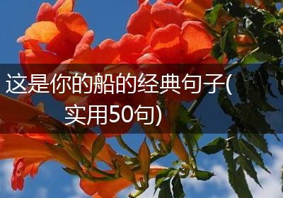 这是你的船的经典句子(实用50句)