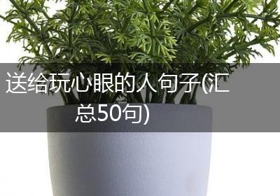 送给玩心眼的人句子(汇总50句)