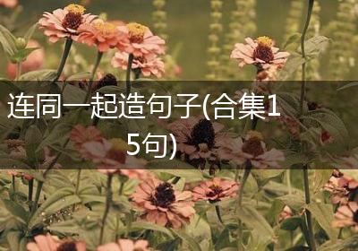连同一起造句子(合集15句)