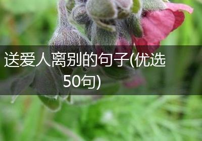 送爱人离别的句子(优选50句)