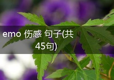 emo 伤感 句子(共45句)