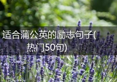 适合蒲公英的励志句子(热门50句)