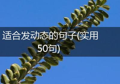 适合发动态的句子(实用50句)