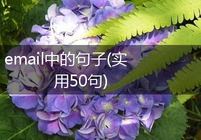 email中的句子(实用50句)