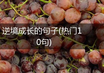 逆境成长的句子(热门10句)