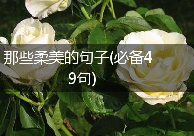 那些柔美的句子(必备49句)