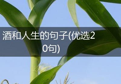 酒和人生的句子(优选20句)