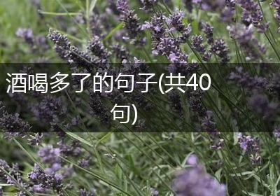 酒喝多了的句子(共40句)