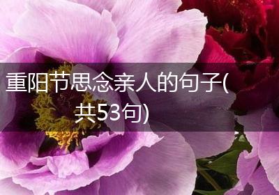 重阳节思念亲人的句子(共53句)