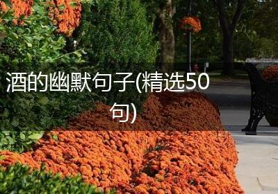 酒的幽默句子(精选50句)