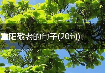 重阳敬老的句子(20句)