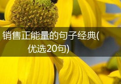 销售正能量的句子经典(优选20句)