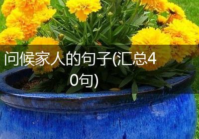 问候家人的句子(汇总40句)