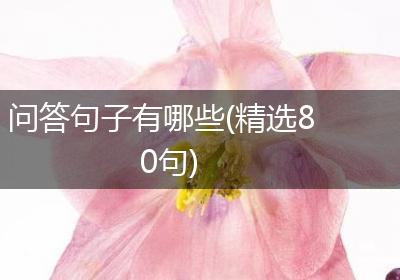 问答句子有哪些(精选80句)