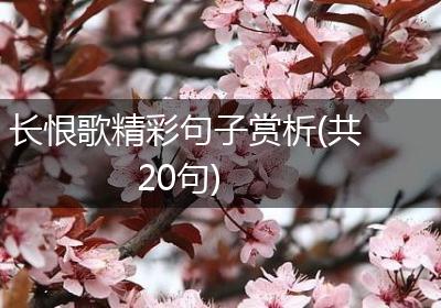 长恨歌精彩句子赏析(共20句)