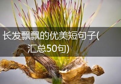 长发飘飘的优美短句子(汇总50句)