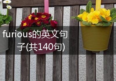 furious的英文句子(共140句)