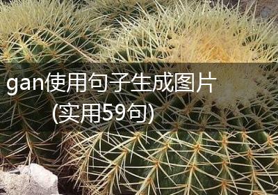 gan使用句子生成图片(实用59句)