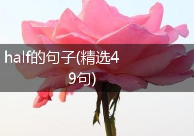half的句子(精选49句)