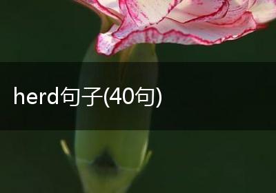 herd句子(40句)