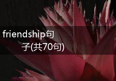 friendship句子(共70句)