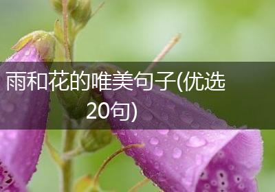 雨和花的唯美句子(优选20句)