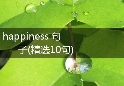 happiness 句子(精选10句)