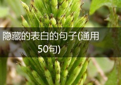隐藏的表白的句子(通用50句)