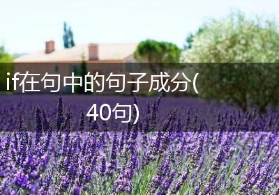 if在句中的句子成分(40句)