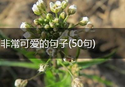 非常可爱的句子(50句)