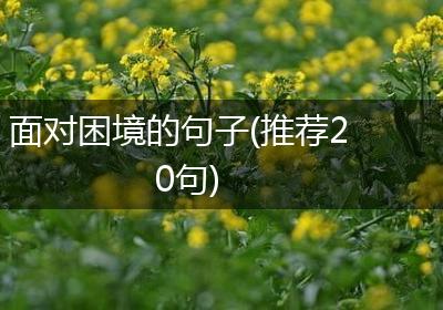面对困境的句子(推荐20句)
